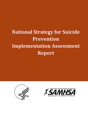 National Strategy for Suicide Prevention Implementation Assessment Report